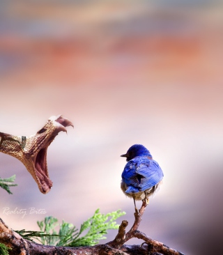Blue Bird And Snake - Obrázkek zdarma pro 128x160