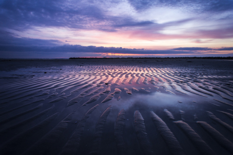 Screenshot №1 pro téma Sand Dunes And Pinky Sunset At Beach 480x320