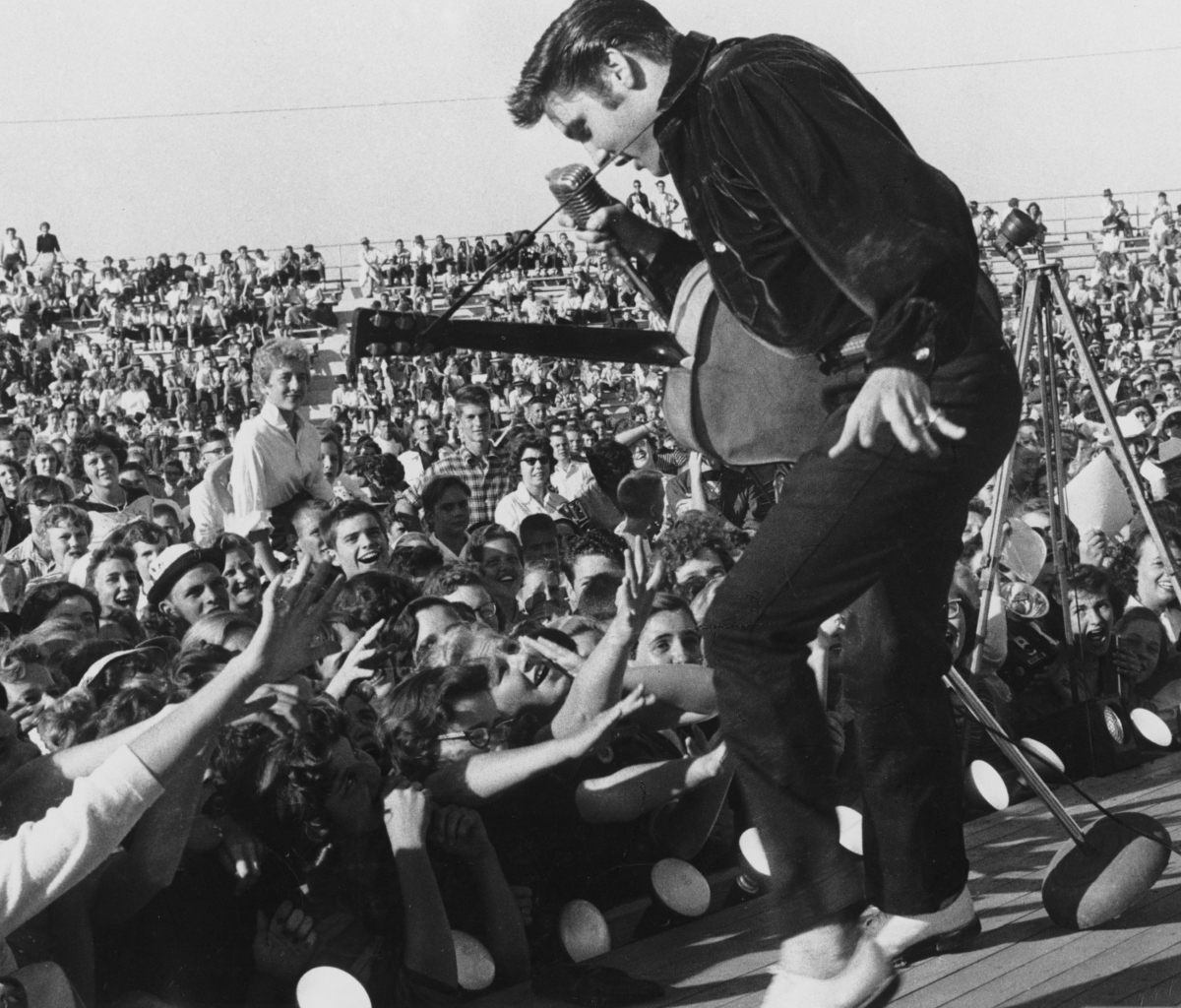 Screenshot №1 pro téma Elvis Presley At Concert 1200x1024