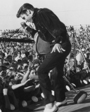 Das Elvis Presley At Concert Wallpaper 128x160