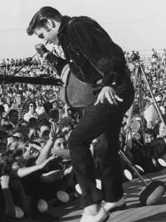 Screenshot №1 pro téma Elvis Presley At Concert 240x320