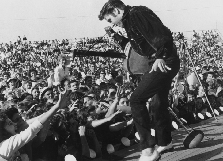 Elvis Presley At Concert wallpaper