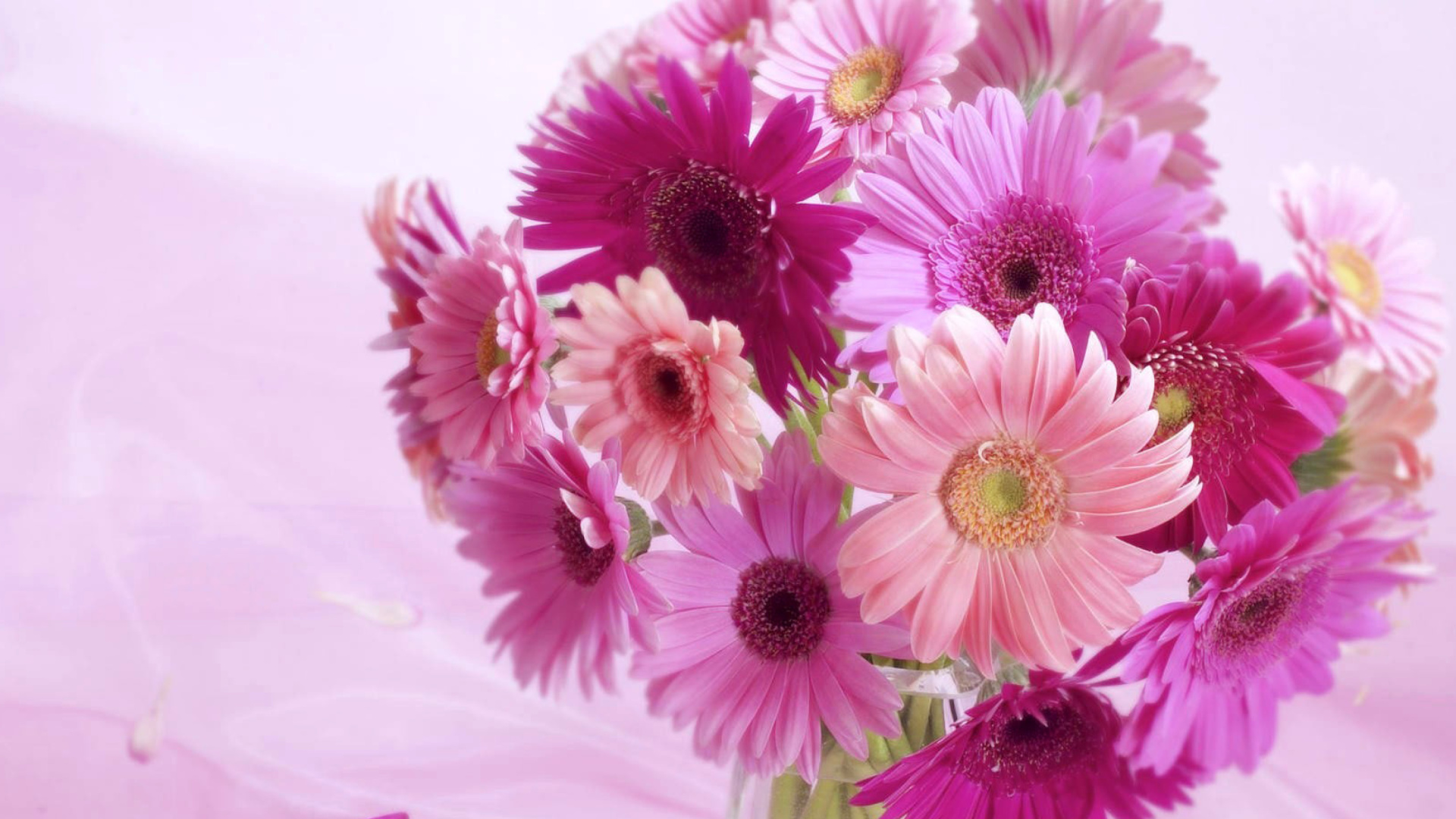 Fondo de pantalla Gerbera Bouquet Idea 1920x1080