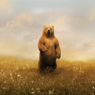 Kostenloses Bear On Meadow Wallpaper für iPad mini 2