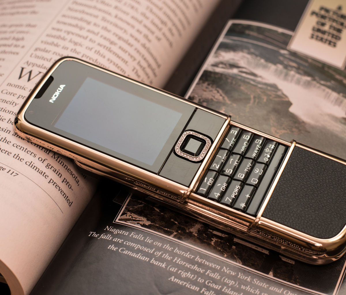 Nokia 8800 Gold Arte Rose screenshot #1 1200x1024