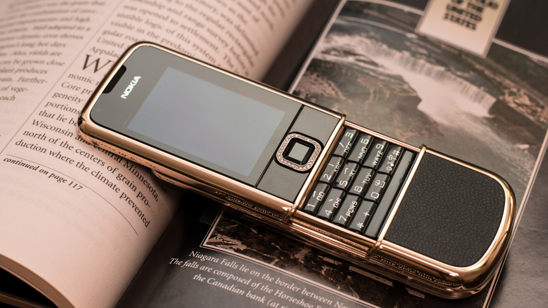Nokia 8800 Gold Arte Rose screenshot #1 1920x1080