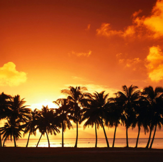 Summer Beach Sunset - Obrázkek zdarma pro iPad