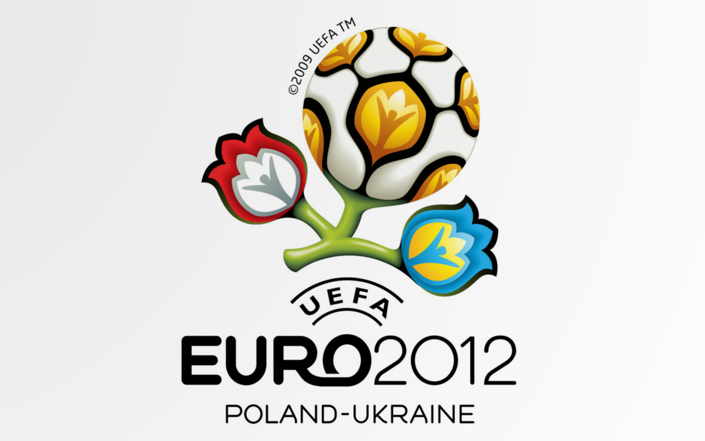Screenshot №1 pro téma UEFA Euro 2012 hd 1440x900