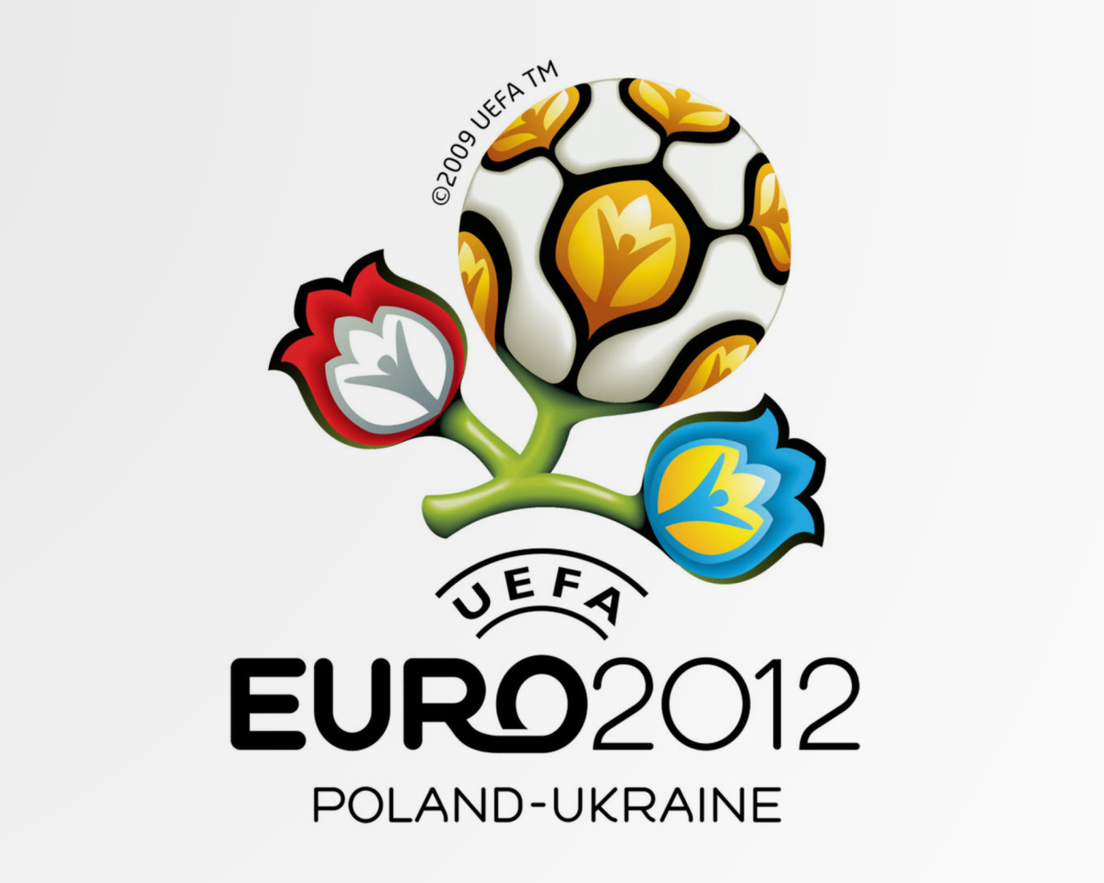Screenshot №1 pro téma UEFA Euro 2012 hd 1600x1280