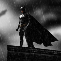 Screenshot №1 pro téma Batman 208x208