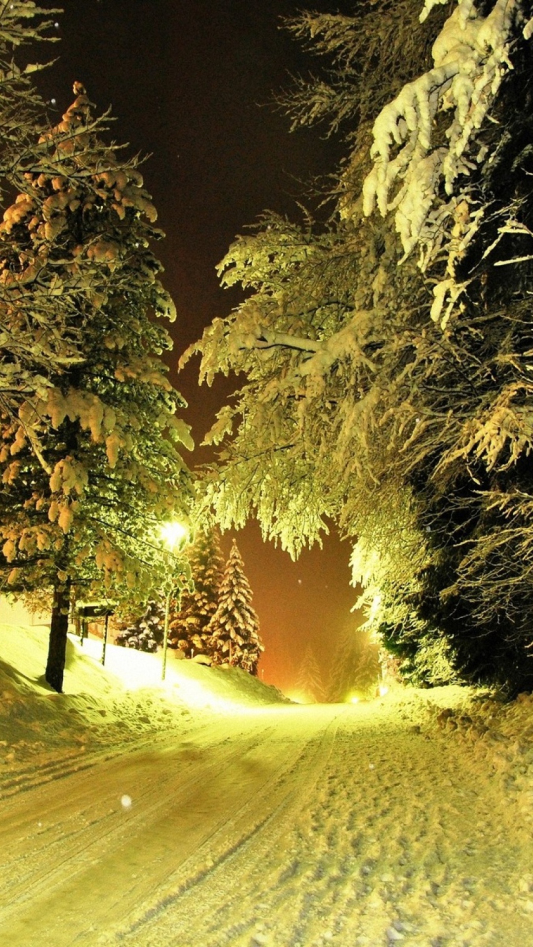 Cold Winter Night Forest wallpaper 1080x1920