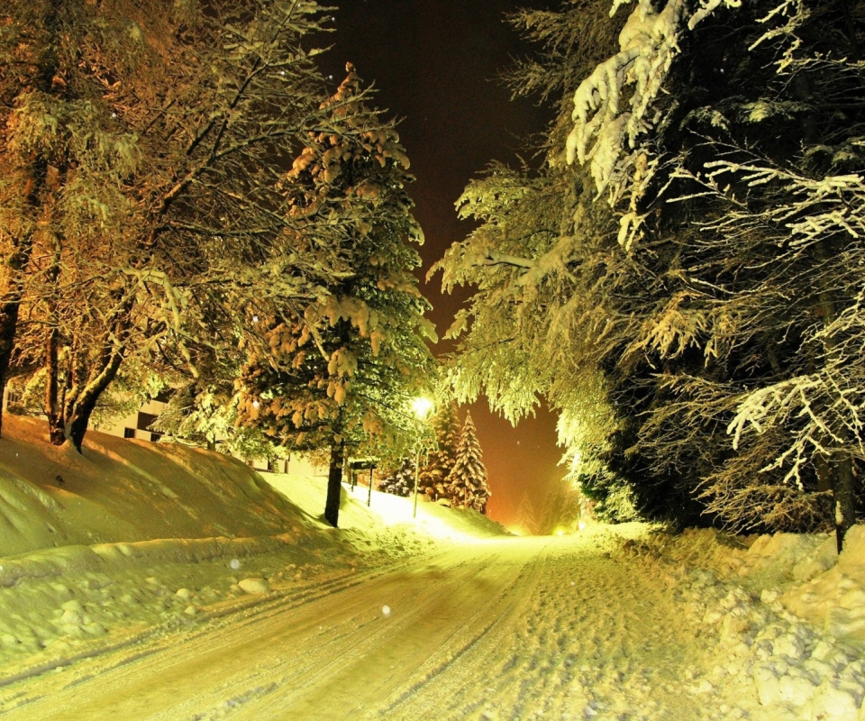 Das Cold Winter Night Forest Wallpaper 960x800