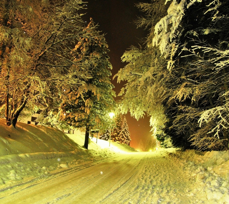 Das Cold Winter Night Forest Wallpaper 960x854