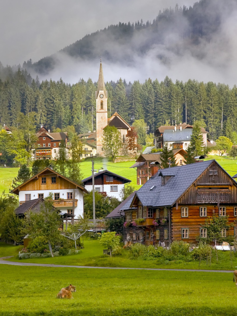 Fondo de pantalla Gosau Village - Austria 480x640