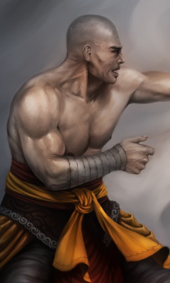 Warrior Monk by Lucas Torquato de Resende wallpaper 240x400
