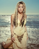 Shakira screenshot #1 128x160