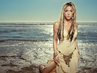 Fondo de pantalla Shakira 320x240