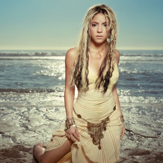 Shakira - Obrázkek zdarma pro 1024x1024