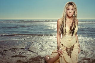 Shakira - Obrázkek zdarma pro 1400x1050