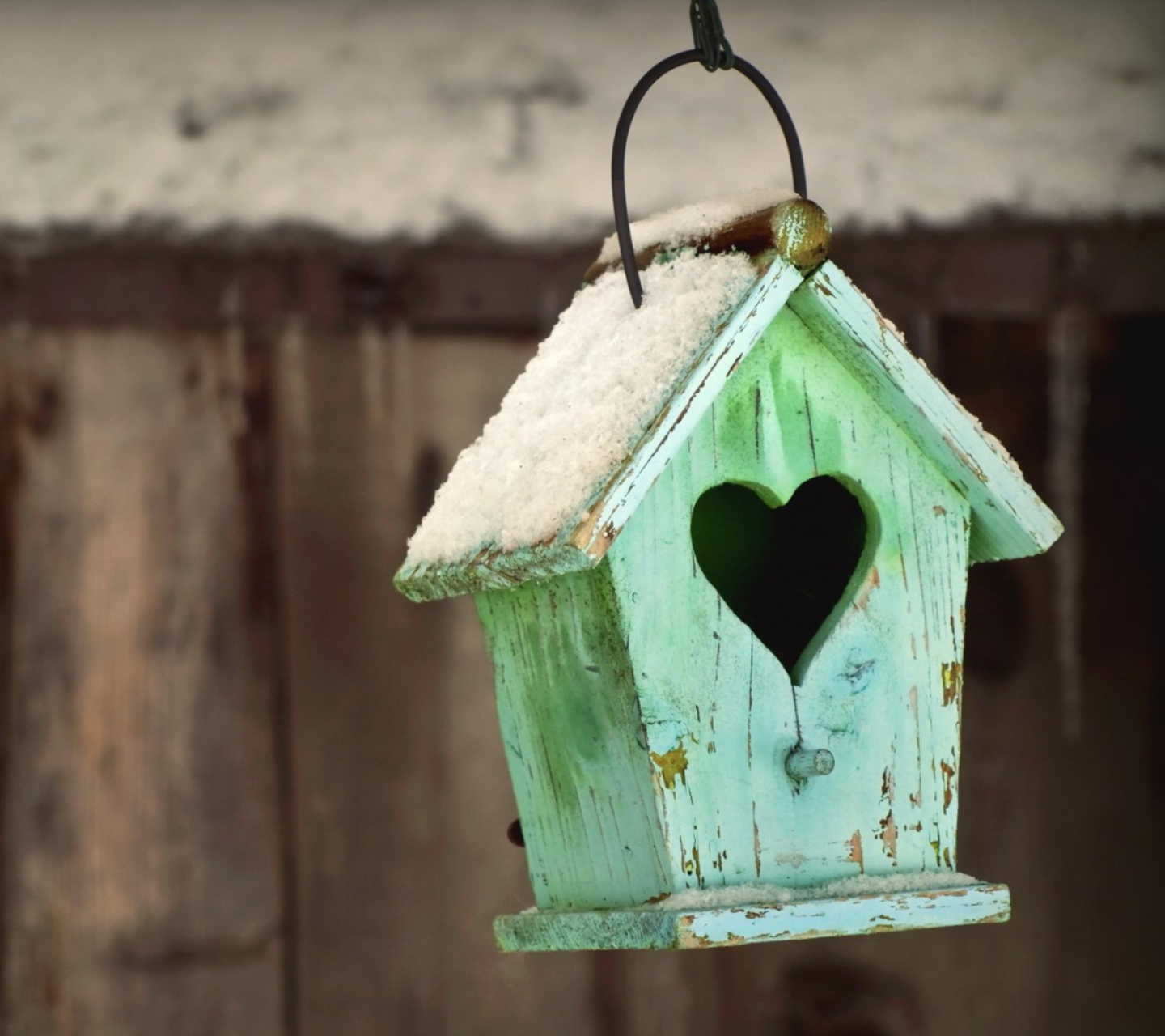 Fondo de pantalla Valentine's Birds House 1440x1280