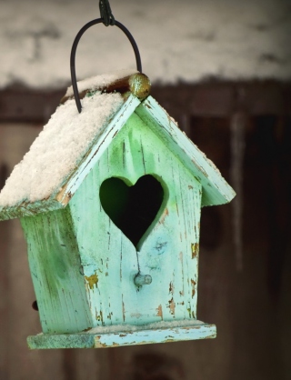 Valentine's Birds House - Obrázkek zdarma pro 132x176