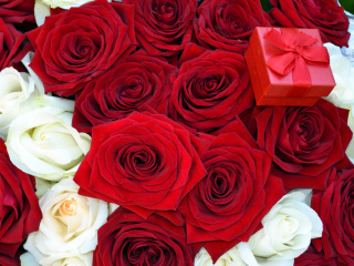 Обои Roses for Propose 320x240
