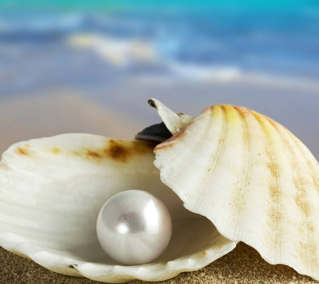 Обои Pearl And Seashell 1080x960