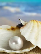 Sfondi Pearl And Seashell 132x176