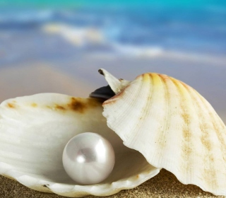 Pearl And Seashell - Obrázkek zdarma pro iPad