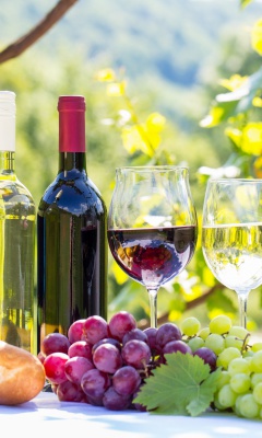 White and Red Greece Wine screenshot #1 240x400