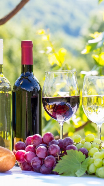 Sfondi White and Red Greece Wine 360x640