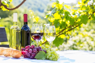 White and Red Greece Wine Picture for Android, iPhone and iPad