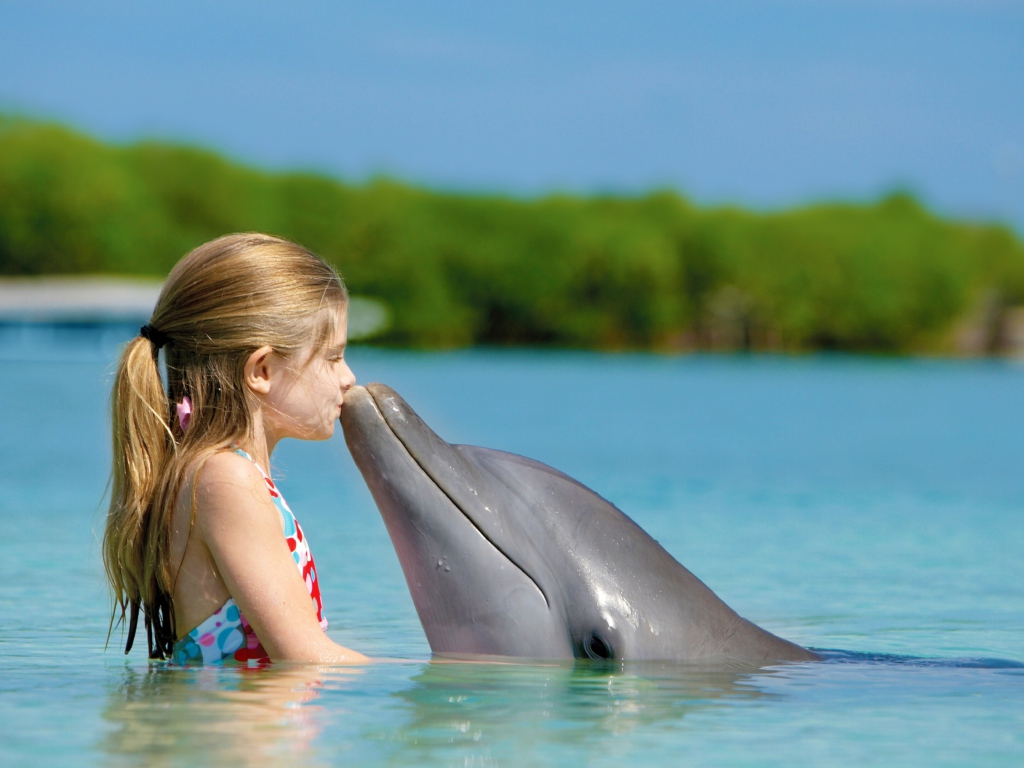 Обои Friendship Between Girl And Dolphin 1024x768