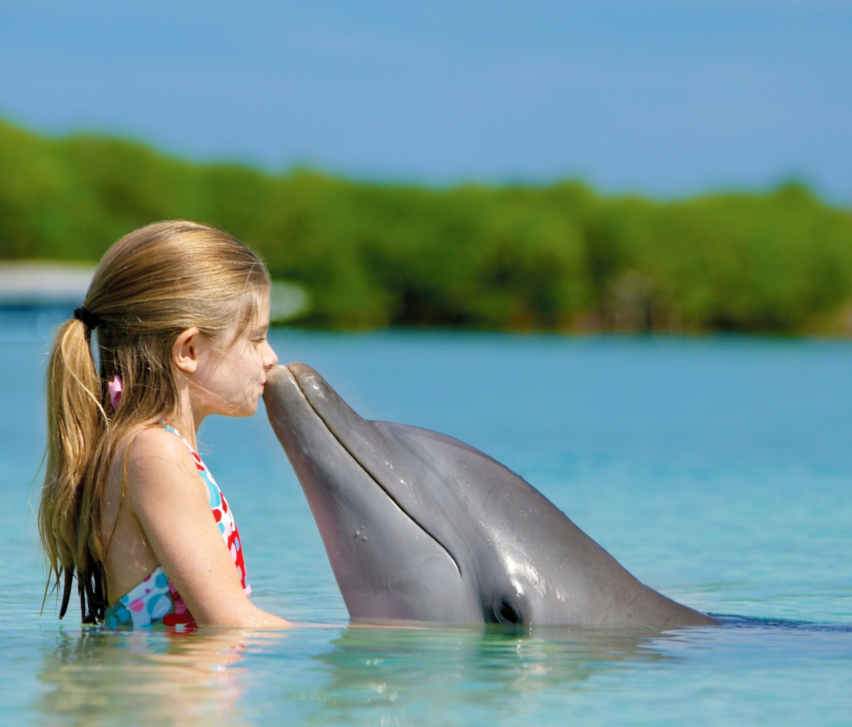 Обои Friendship Between Girl And Dolphin 1200x1024