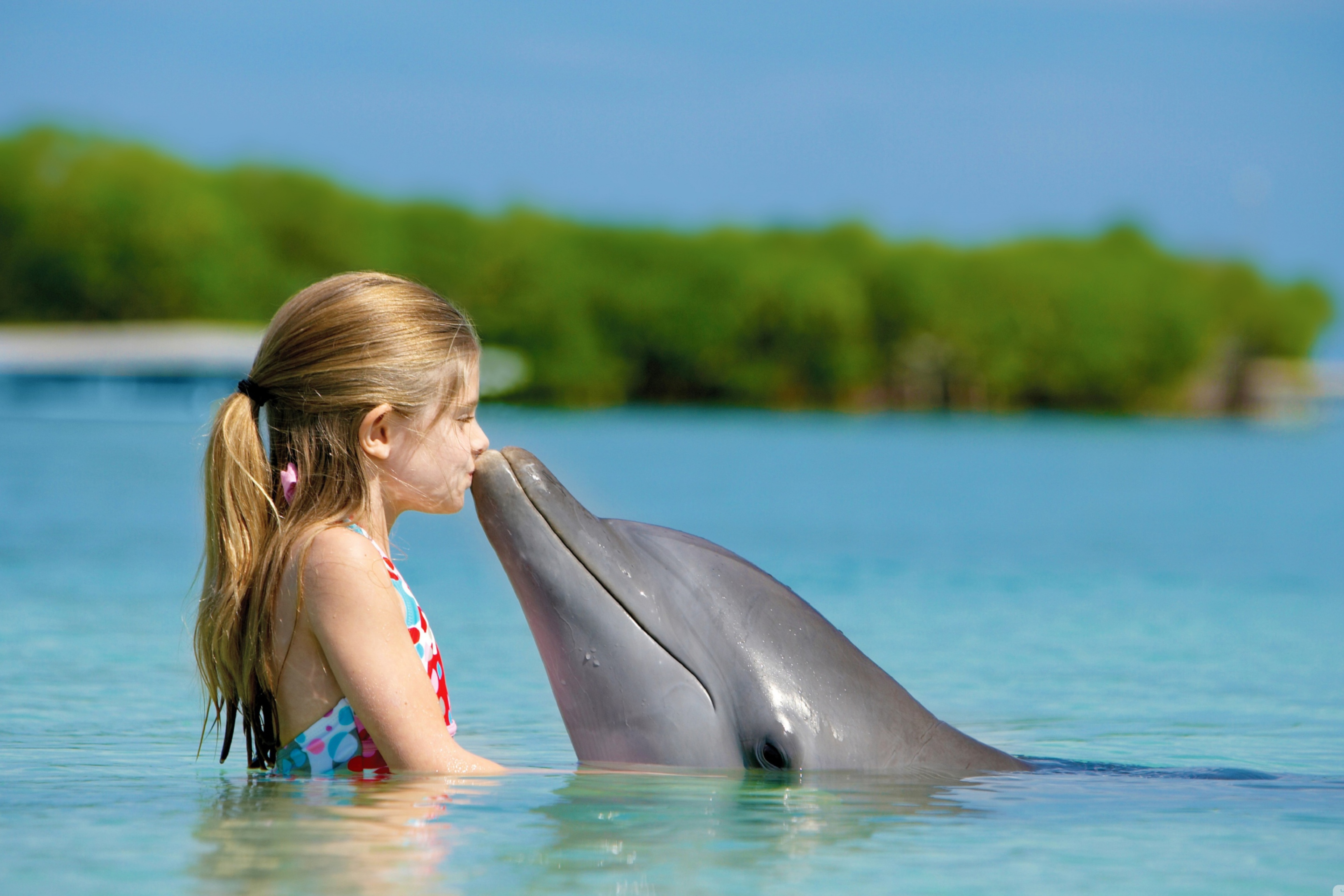Das Friendship Between Girl And Dolphin Wallpaper 2880x1920