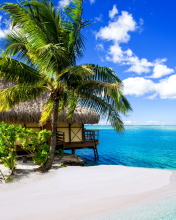 Screenshot №1 pro téma Tropical Paradise - Villa Aquamare 176x220