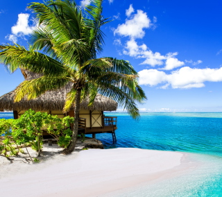 Kostenloses Tropical Paradise - Villa Aquamare Wallpaper für iPad 2
