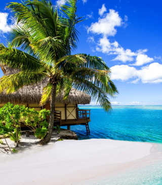 Tropical Paradise - Villa Aquamare - Obrázkek zdarma pro iPhone 4S