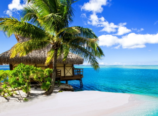 Tropical Paradise - Villa Aquamare - Obrázkek zdarma pro Nokia C3