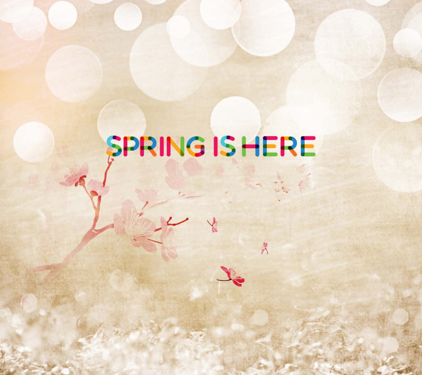 Das Spring Is Here Wallpaper 1440x1280