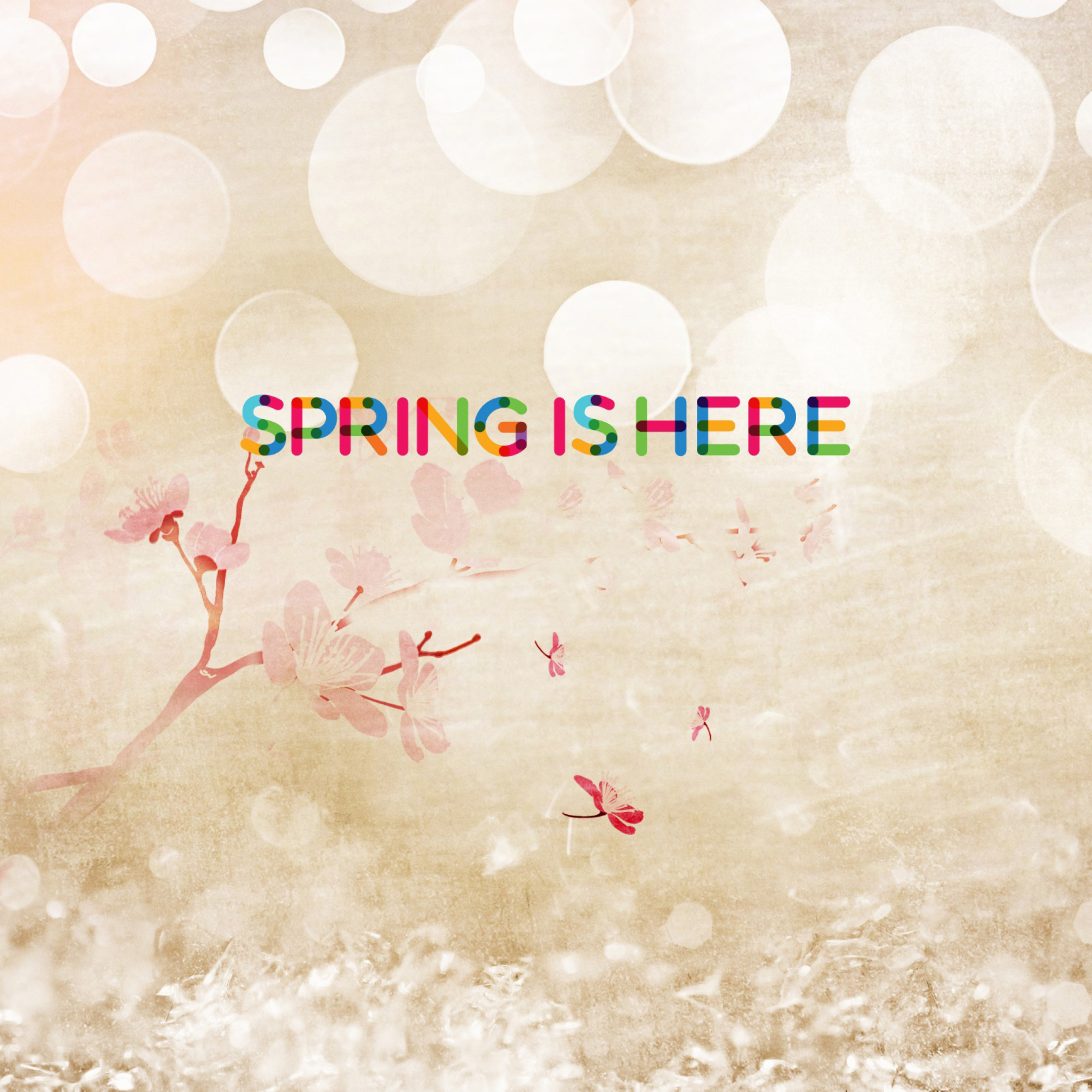 Fondo de pantalla Spring Is Here 2048x2048