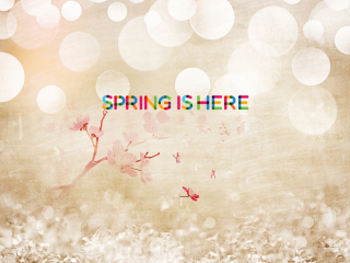 Fondo de pantalla Spring Is Here 320x240