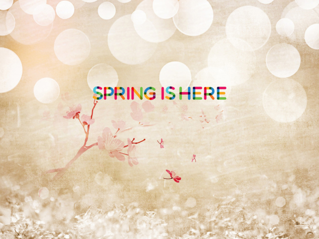 Das Spring Is Here Wallpaper 640x480