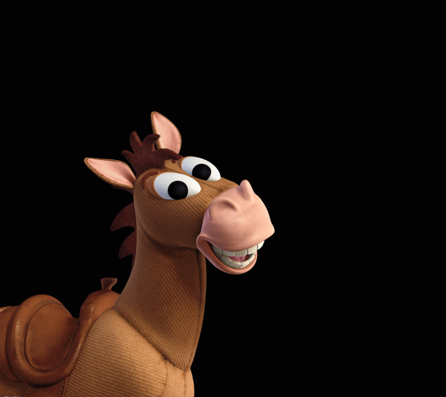 Fondo de pantalla Horse 1440x1280