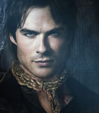 The Vampire Diaries - Ian Somerhalder - Obrázkek zdarma pro 240x320