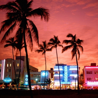 Miami Florida Wallpaper for iPad 2