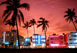 Miami Florida - Obrázkek zdarma pro HTC Desire 310