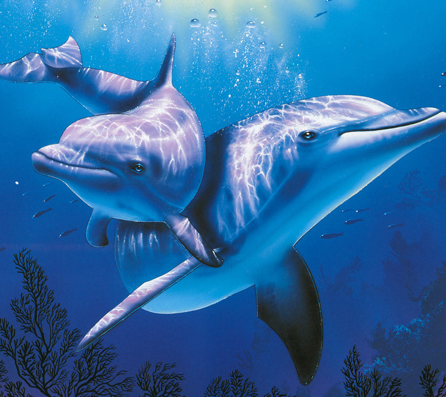 Fondo de pantalla Blue Dolphins 1440x1280