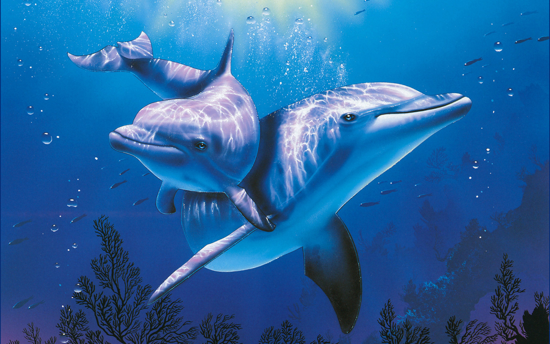 Das Blue Dolphins Wallpaper 1920x1200