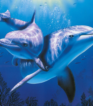 Blue Dolphins sfondi gratuiti per Nokia Asha 306